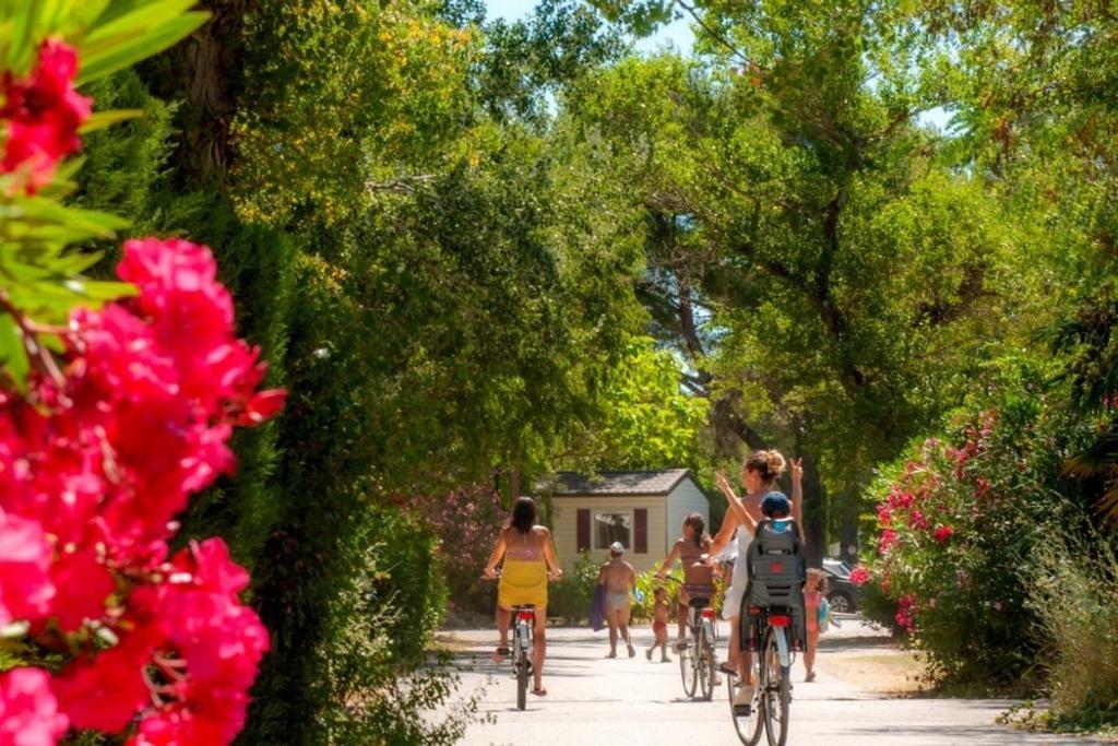 Mobil Home Tout Confort 6 Personnes Climatise Au Pied Du Luberon Ла-Рок-д'Антерон Экстерьер фото
